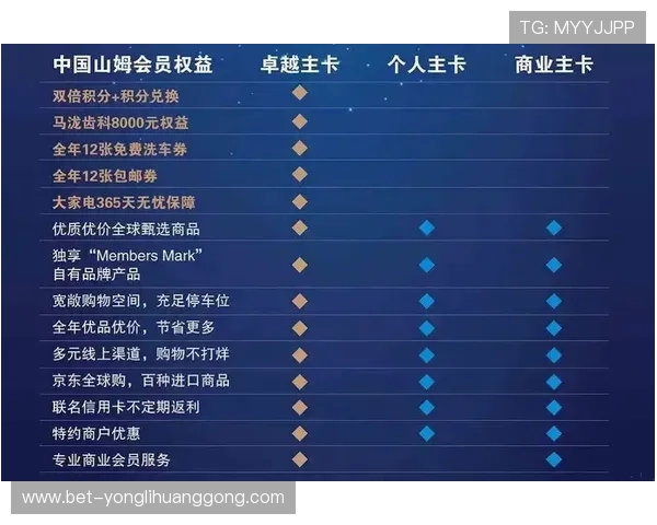 永利官网误乐域：最新的游戏优惠活动与用户体验提升指南