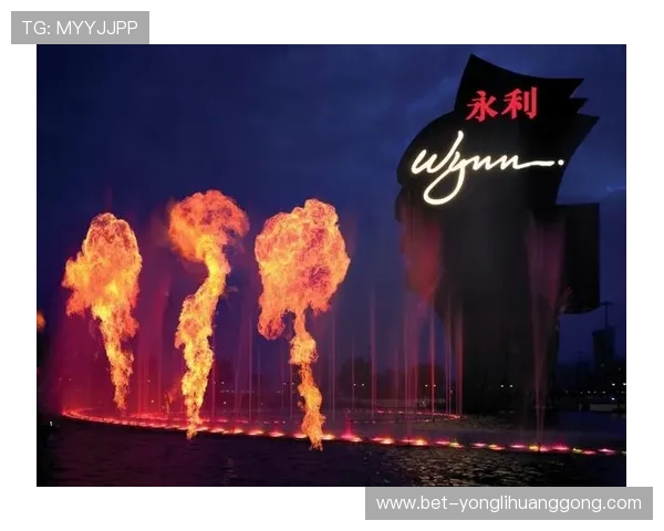 澳门永利国际版多样化游戏类型推荐，满足不同玩家的娱乐需求与体验偏好