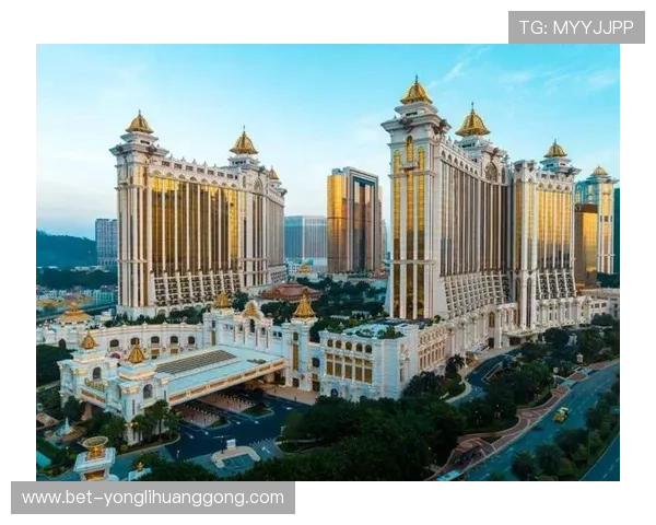 澳门贵宾室的独特优势与尊享礼遇详解