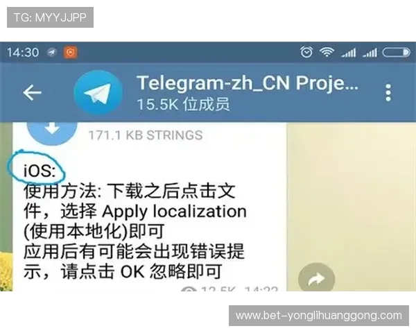 新豪国际官网帮助新手快速上手的操作指南与丰富的优惠福利介绍